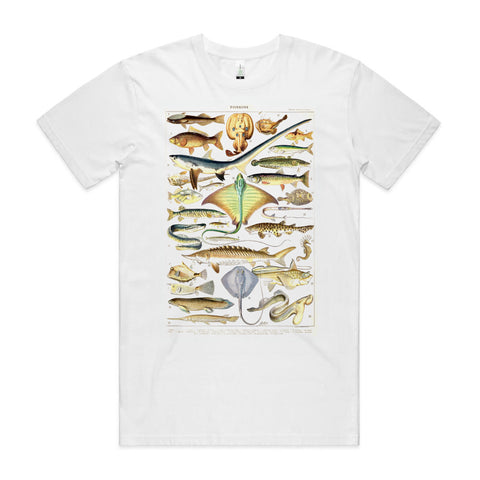 Les Poissons
