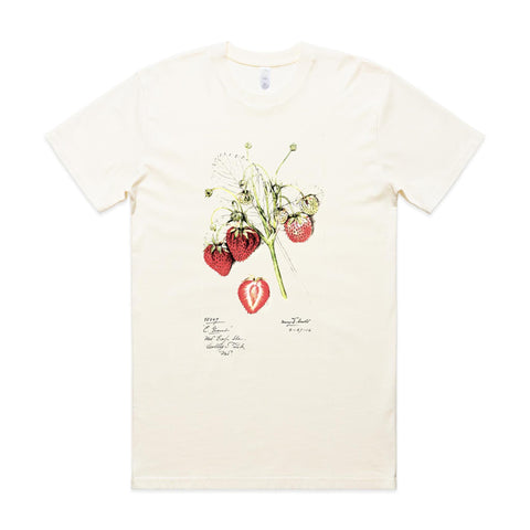 NEW CLASSIC - Strawberries