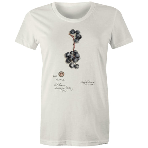 NEW MAPLE - Blueberries