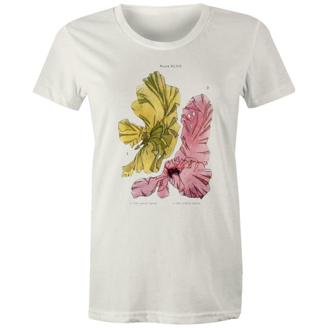 NEW MAPLE - Green and Purple Laver