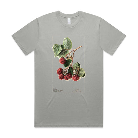 NEW CLASSIC - Raspberries