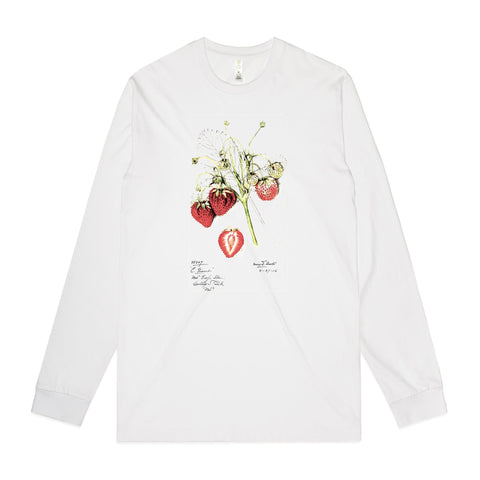 NEW STAPLE L/S - Strawberries