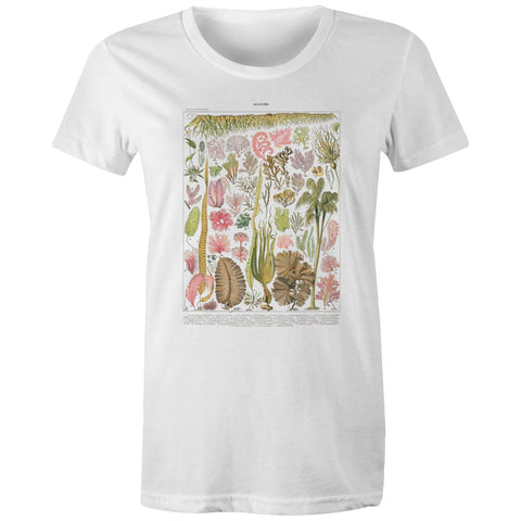 NEW MAPLE - Les Algues