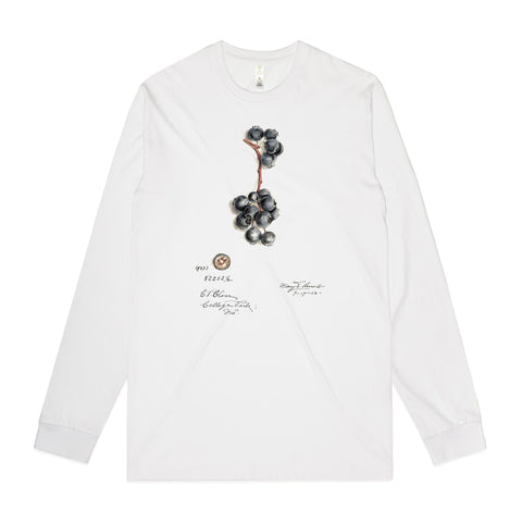 NEW STAPLE L/S - Blueberries