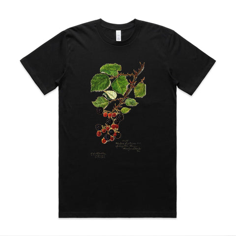 NEW CLASSIC - Blackberries