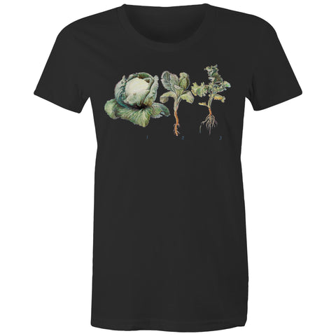 NEW MAPLE - Cabbages