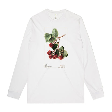 NEW STAPLE L/S - Raspberries