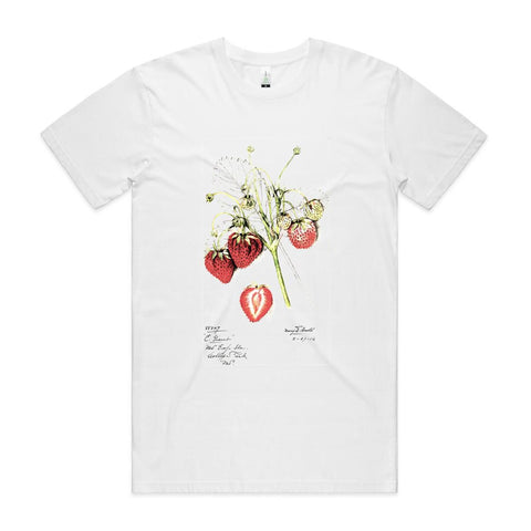 NEW STAPLE - Strawberries