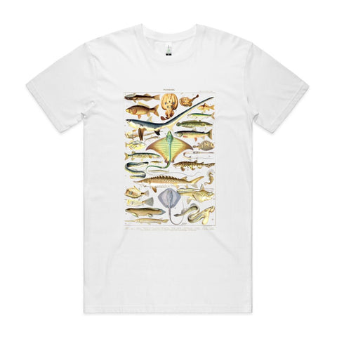 NEW STAPLE - Les Poissons