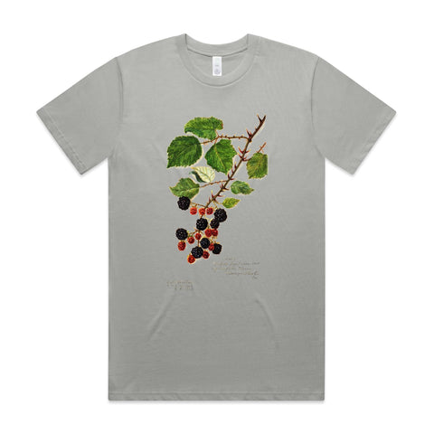 NEW CLASSIC - Blackberries