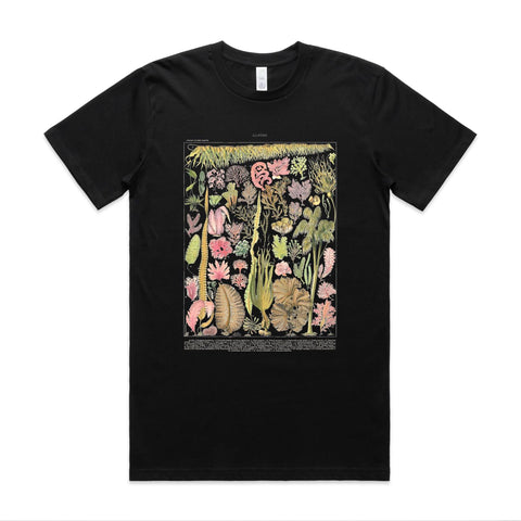 NEW CLASSIC - Les Algues