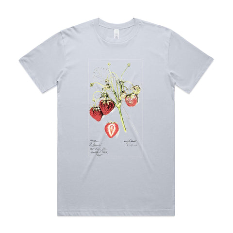 NEW CLASSIC - Strawberries