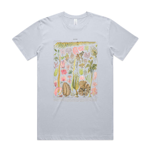 NEW CLASSIC - Les Algues