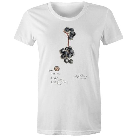 NEW MAPLE - Blueberries