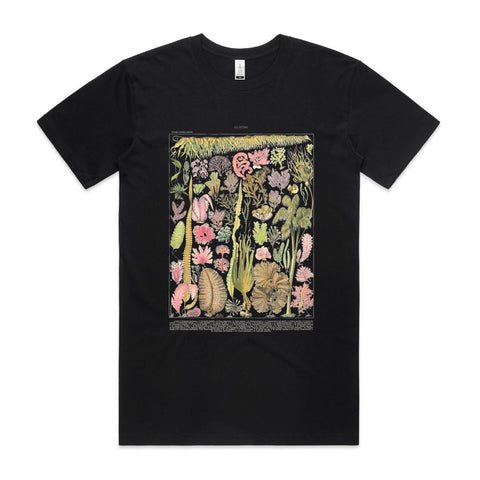 NEW STAPLE - Les Algues