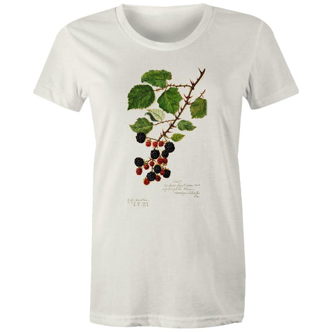 NEW MAPLE - Blackberries