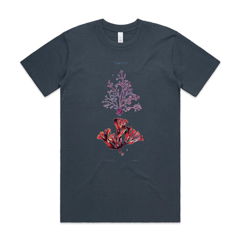 NEW CLASSIC - Corraline and Dulse