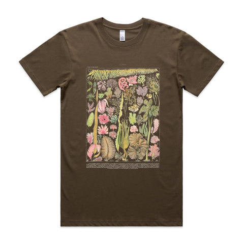 NEW STAPLE - Les Algues