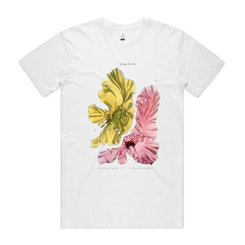 NEW STAPLE - Green and Purple Laver