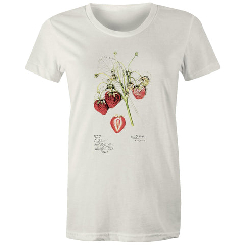 NEW MAPLE - Strawberries