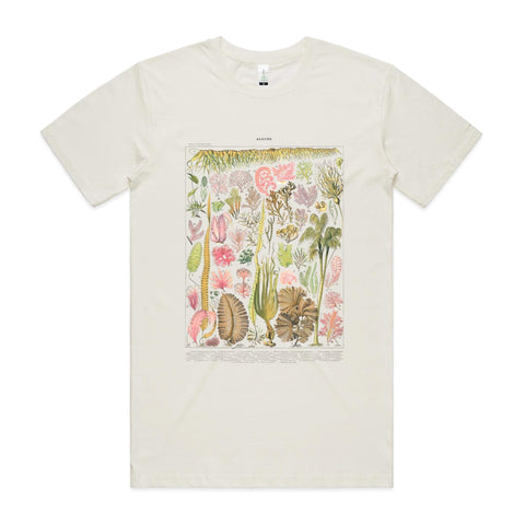 NEW STAPLE - Les Algues