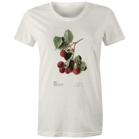 NEW MAPLE - Raspberries