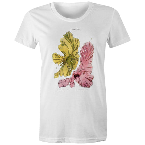 NEW MAPLE - Green and Purple Laver