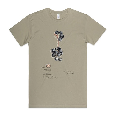 NEW STAPLE - Blueberries