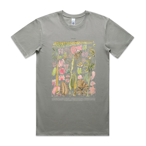 NEW STAPLE - Les Algues