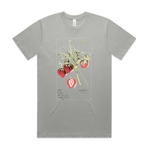 NEW CLASSIC - Strawberries