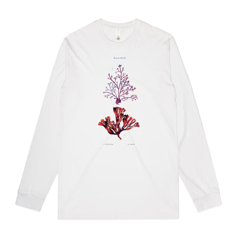 NEW STAPLE L/S - Corraline and Dulse