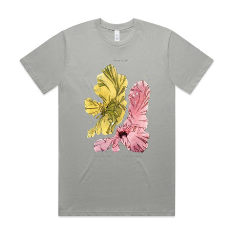 NEW CLASSIC - Green and Purple Laver