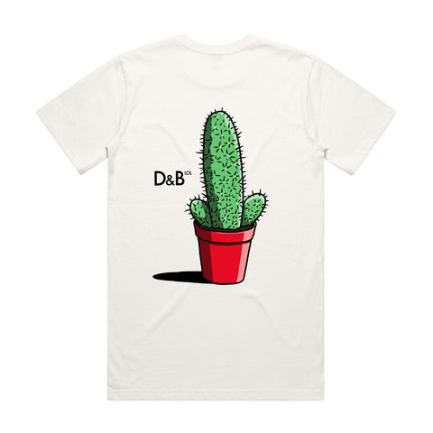NEW CLASSIC D&B LOL Cactus Pot