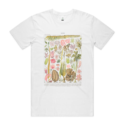 NEW STAPLE - Les Algues