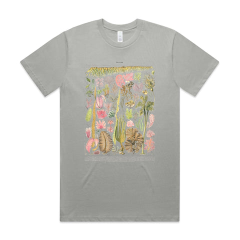 NEW CLASSIC - Les Algues